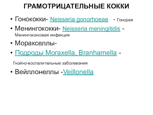 ГРАМОТРИЦАТЕЛЬНЫЕ КОККИ Гонококки- Neisseria gonorhoeae - Гонорея Менингококки- Neisseria meningitidis