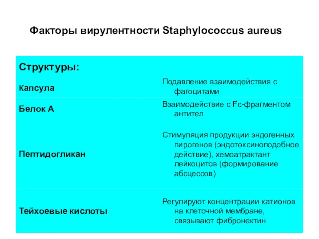 Факторы вирулентности Staphylococcus aureus