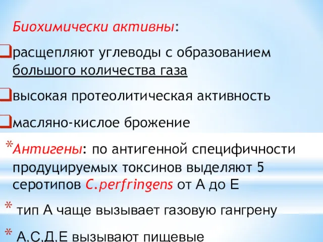 Биохимически активны: расщепляют углеводы с образованием большого количества газа высокая