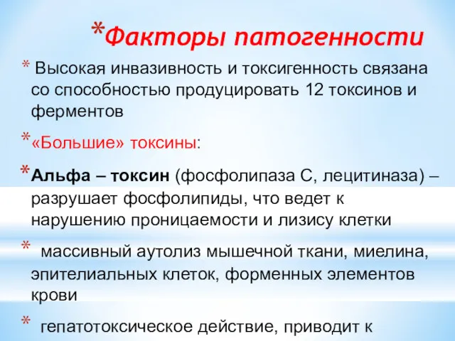 Факторы патогенности Высокая инвазивность и токсигенность связана со способностью продуцировать