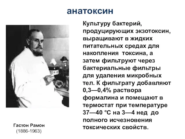 Гастон Рамон (1886-1963) Культуру бактерий, продуцирующих экзотоксин, выращивают в жидких