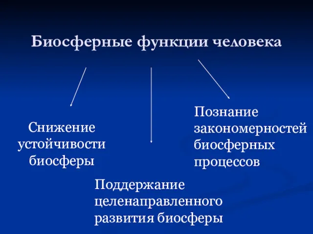 Биосферные функции человека Снижение устойчивости биосферы Познание закономерностей биосферных процессов Поддержание целенаправленного развития биосферы