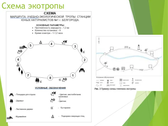 Схема экотропы