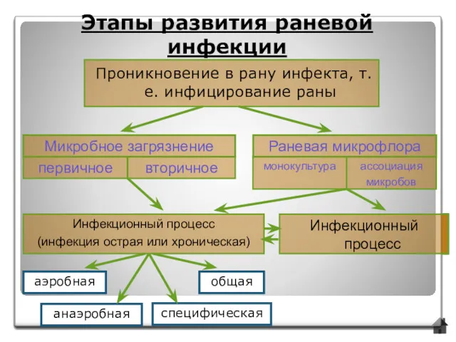 Этапы развития раневой инфекции Проникновение в рану инфекта, т. е.