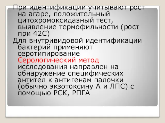 При идентификации учитывают рост на агаре, поло­жительный цитохромоксидазный тест, выявление