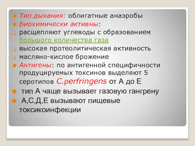 Тип дыхания: облигатные анаэробы Биохимически активны: расщепляют углеводы с образованием