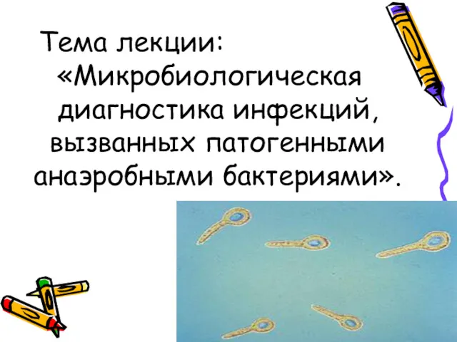 Тема лекции: «Микробиологическая диагностика инфекций, вызванных патогенными анаэробными бактериями».