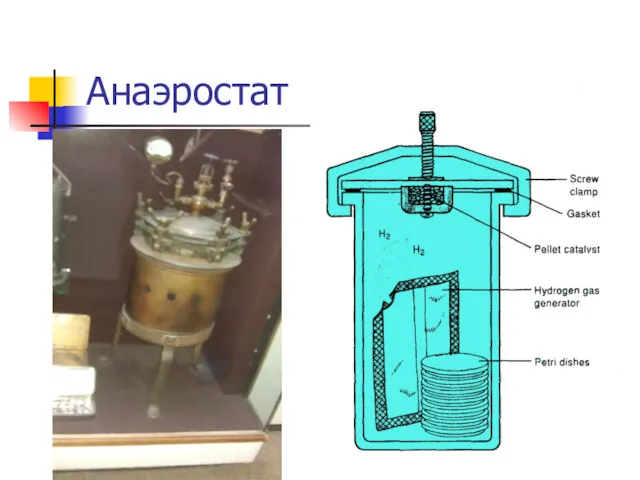 Анаэростат