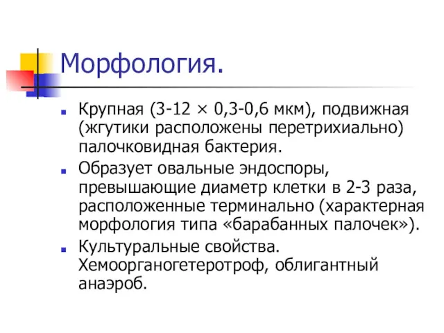 Морфология. Крупная (3-12 × 0,3-0,6 мкм), подвижная (жгутики расположены перетрихиально)