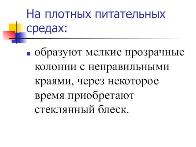 На плотных питательных средах: образуют мелкие прозрачные колонии с неправильными