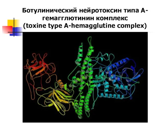 Ботулинический нейротоксин типа A-гемагглютинин комплекс (toxine type A-hemagglutine complex)