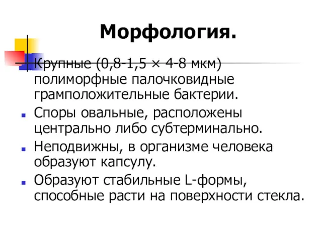 Морфология. Крупные (0,8-1,5 × 4-8 мкм) полиморфные палочковидные грамположительные бактерии.