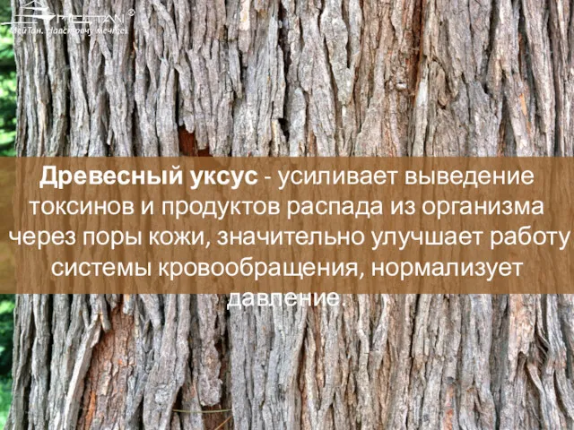 Древесный уксус - усиливает выведение токсинов и продуктов распада из