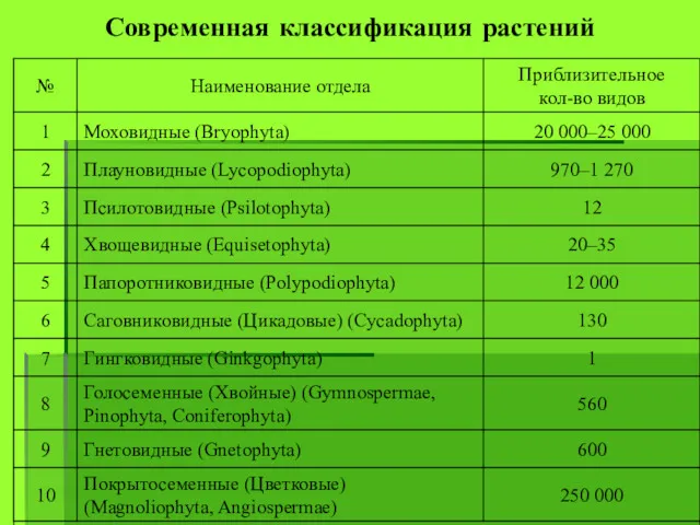 Современная классификация растений