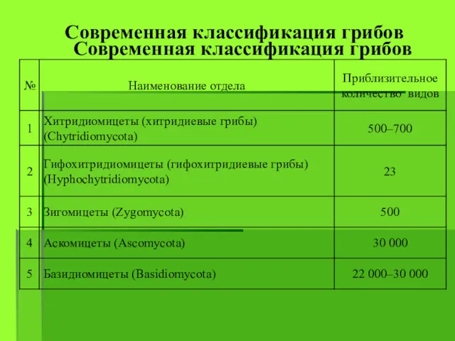 Современная классификация грибов Современная классификация грибов