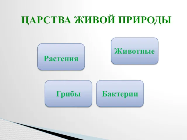 ЦАРСТВА ЖИВОЙ ПРИРОДЫ Растения Животные Бактерии Грибы