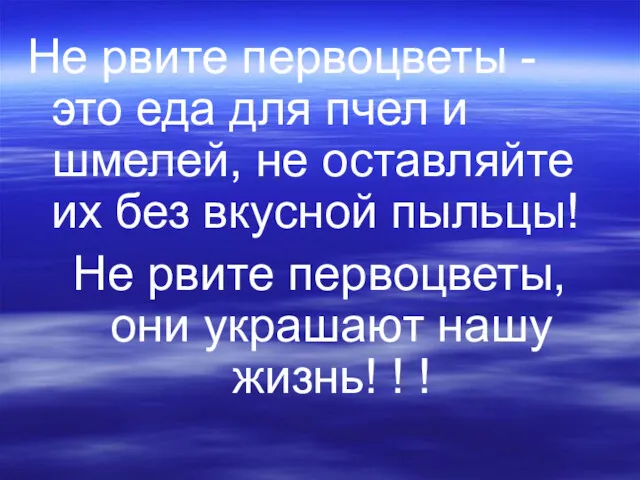 Не рвите первоцветы - это еда для пчел и шмелей,