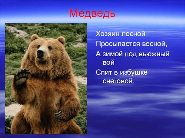 Медведь Хозяин лесной Просыпается весной, А зимой под вьюжный вой Спит в избушке снеговой.