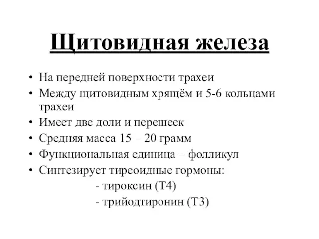 Щитовидная железа На передней поверхности трахеи Между щитовидным хрящём и