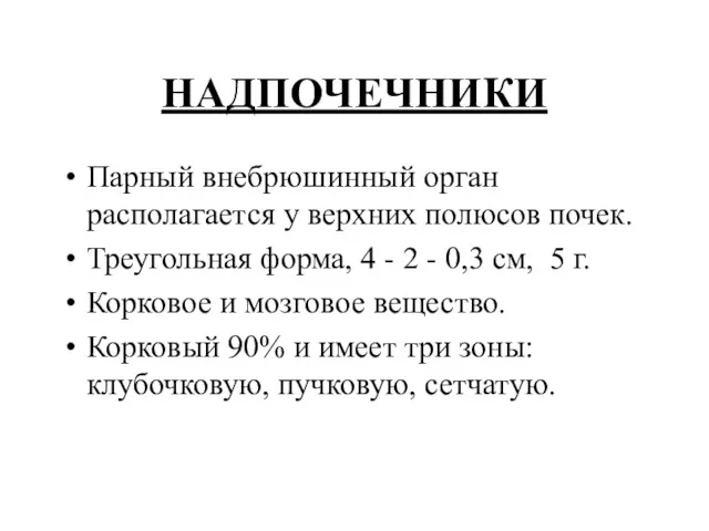 НАДПОЧЕЧНИКИ Парный внебрюшинный орган располагается у верхних полюсов почек. Треугольная