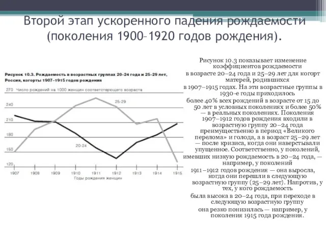 Второй этап ускоренного падения рождаемости (поколения 1900–1920 годов рождения). Рисунок