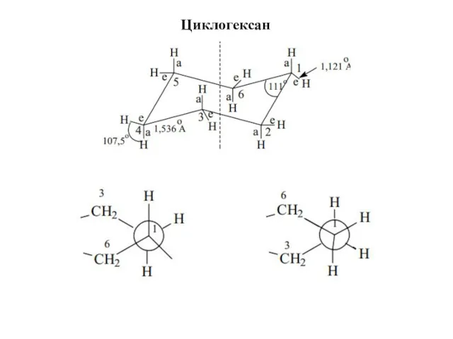 Циклогексан