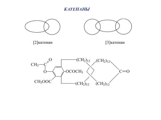 КАТЕНАНЫ