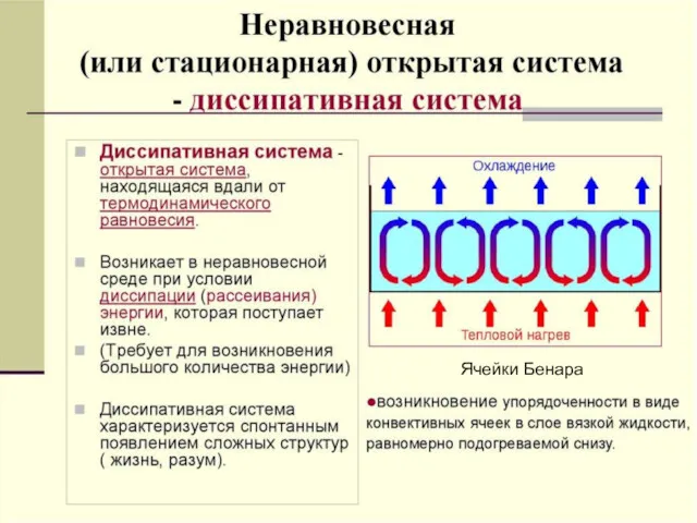 А.С. Чуев, 2020 г. Ячейки Бенара