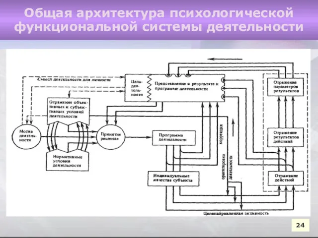 24 24 Общая архитектура психологической функциональной системы деятельности