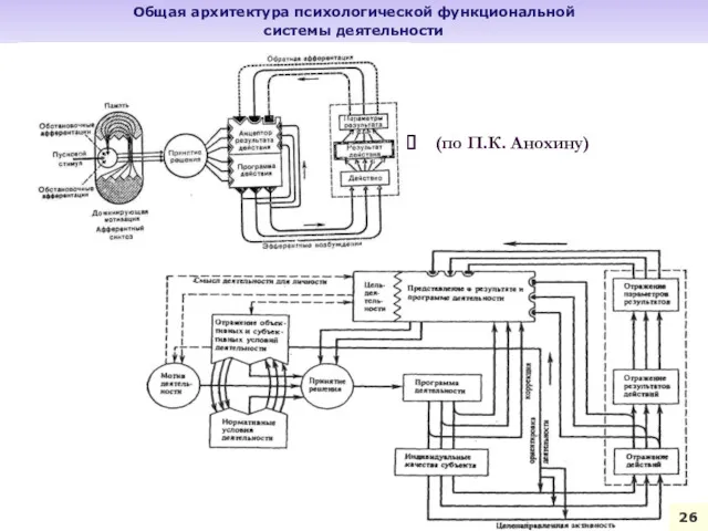 Общая архитектура психологической функциональной системы деятельности (по П.К. Анохину) 26