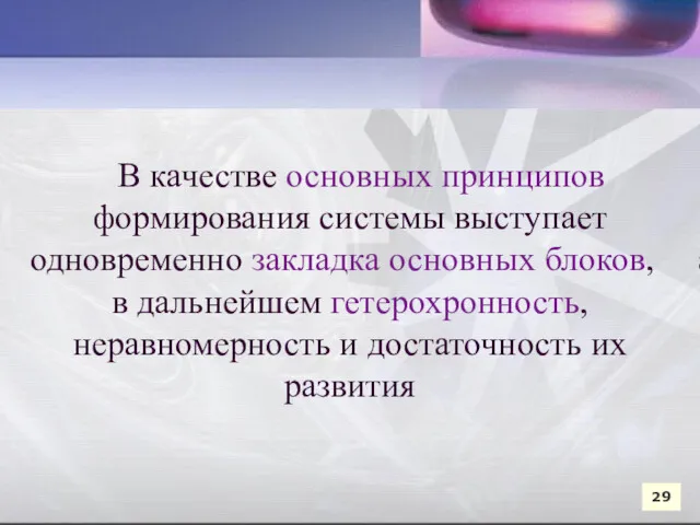 В качестве основных принципов формирования системы выступает одновременно закладка основных