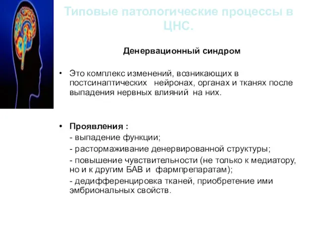 Типовые патологические процессы в ЦНС. Денервационный синдром Это комплекс изменений,