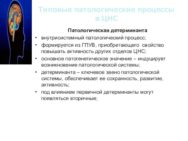 Типовые патологические процессы в ЦНС Патологическая детерминанта внутрисистемный патологический процесс;