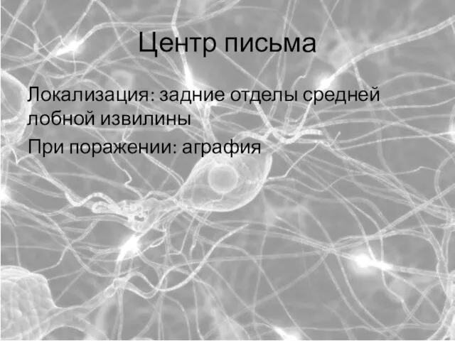 Центр письма Локализация: задние отделы средней лобной извилины При поражении: аграфия