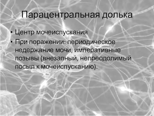 Парацентральная долька Центр мочеиспускания При поражении: периодическое недержание мочи, императивные позывы (внезапный, непреодолимый посыл к мочеиспусканию).