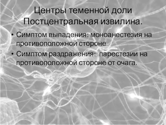 Центры теменной доли Постцентральная извилина. Симптом выпадения: моноанестезия на противоположной