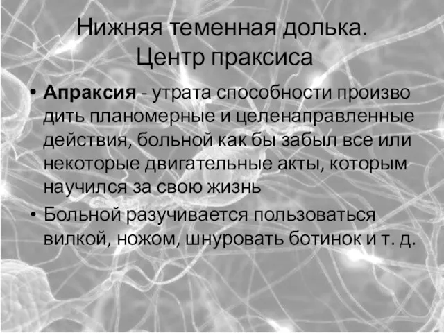 Нижняя теменная долька. Центр праксиса Ап­рак­сия - ут­ра­та спо­соб­но­сти про­из­во­дить