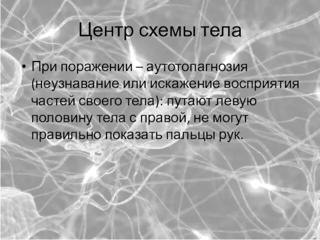 Центр схемы тела При поражении – аутотопагнозия (неузнавание или искажение