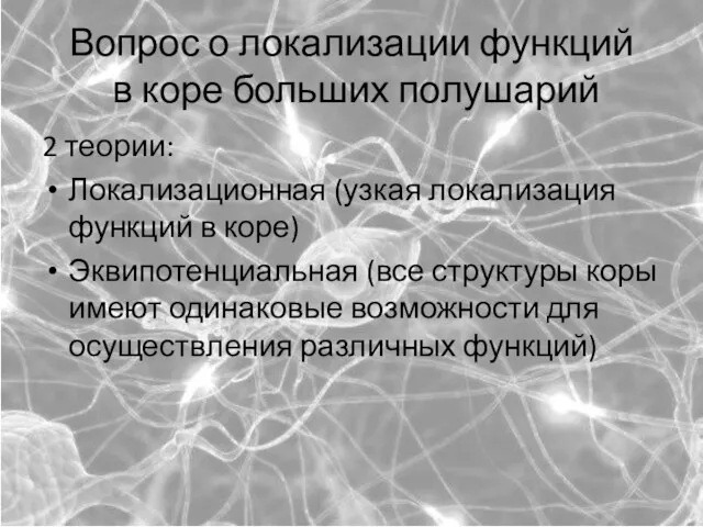 Во­прос о ло­ка­ли­за­ции функ­ций в коре боль­ших по­лу­ша­рий 2 теории: