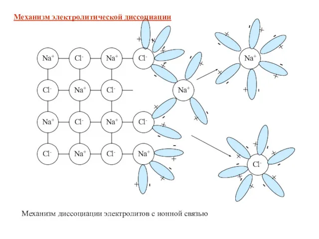 + - Механизм диссоциации электролитов с ионной связью Механизм электролитической диссоциации