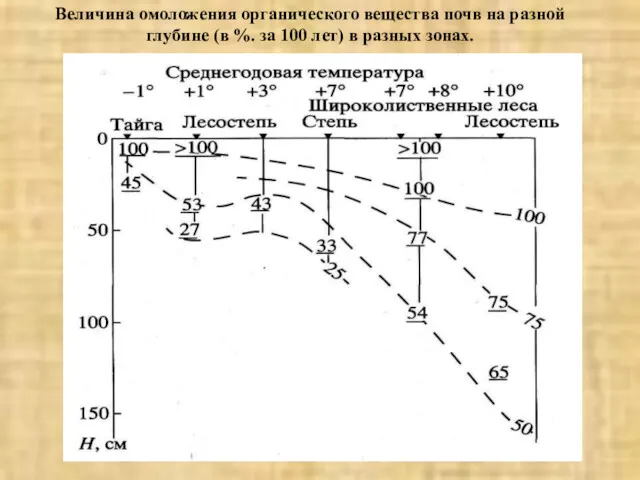 Рис. 1. Величина омоложения органического вещества почв на разной глубине