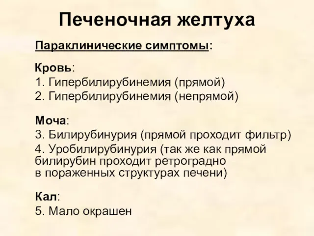 Печеночная желтуха Параклинические симптомы: Кровь: 1. Гипербилирубинемия (прямой) 2. Гипербилирубинемия