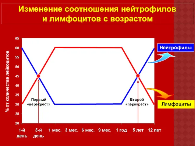 Изменение соотношения нейтрофилов и лимфоцитов с возрастом % от количества