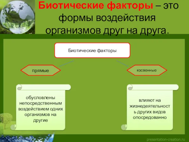 Биотические факторы – это формы воздействия организмов друг на друга.