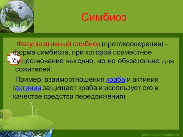 ++ Симбиоз Факультативный симбиоз (протокооперация) - форма симбиоза, при которой