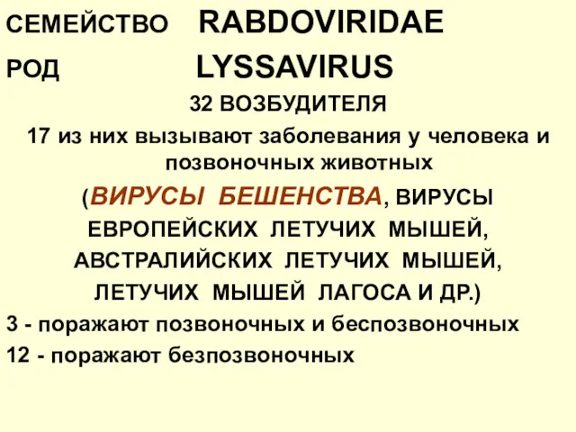 СЕМЕЙСТВО RABDOVIRIDAE РОД LYSSAVIRUS 32 ВОЗБУДИТЕЛЯ 17 из них вызывают