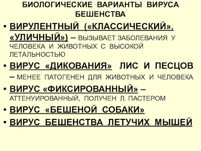 БИОЛОГИЧЕСКИЕ ВАРИАНТЫ ВИРУСА БЕШЕНСТВА ВИРУЛЕНТНЫЙ («КЛАССИЧЕСКИЙ», «УЛИЧНЫЙ») – ВЫЗЫВАЕТ ЗАБОЛЕВАНИЯ