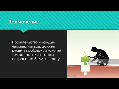 Заключение Правительство и каждый человек, мы все, должны решить проблему