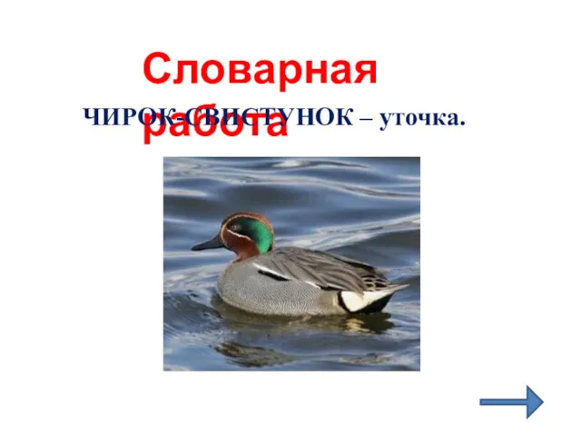 Словарная работа ЧИРОК-СВИСТУНОК – уточка.