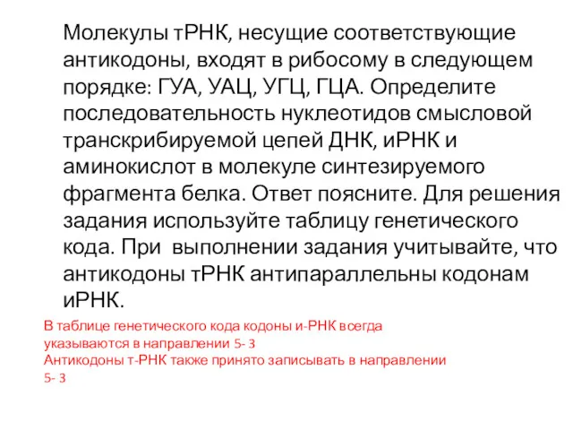 Молекулы тРНК, несущие соответствующие антикодоны, входят в рибосому в следующем